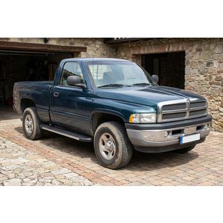 Marchepieds Latéraux Duru (2 pcs, Aluminium) Dodge RAM (BR/BE) 1994–2002 photo 1