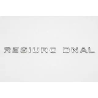 Emblème inscription Land Cruiser (60*3)