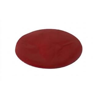 Emblème avant sans vitre V4 (15,7 cm x 11 cm) photo 2
