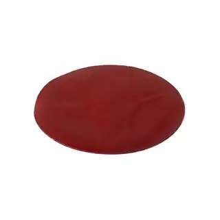 Emblème avant sans vitre V4 (15,7 cm x 11 cm) photo 2