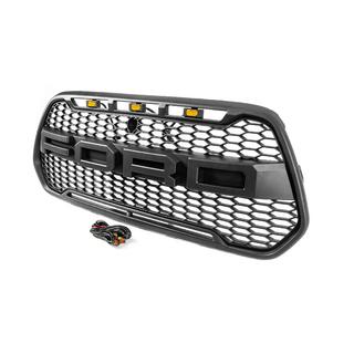 Calandre 2013-2018 (OffRoad) Ford Custom 2013-2022 photo 2