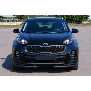 Pare-buffle avant ST009 Black (inox) photo 1