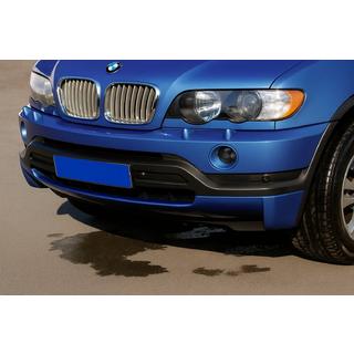 Lame de pare-chocs avant (1999-2003, à peindre) BMW X5 E53 1999–2006 photo 1