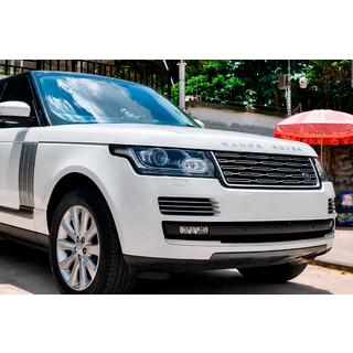 Calandre style L460 (2013-2018) photo 1