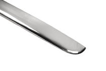 Daewoo Lanos 1998-2017 Baguette Arriere Inox photo 2