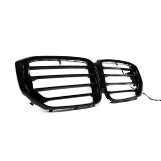 Grilles de calandre type haricot X5M F95 Design LED (2023+) BMW X5 G05 2019–2026 photo 3