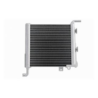 Radiateur latéral gauche