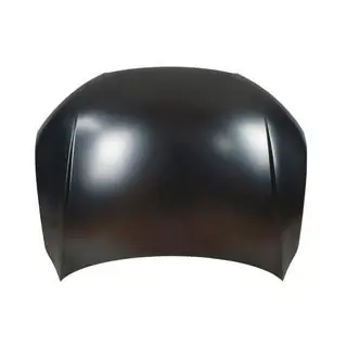 Capot (2010-2014, aluminium)