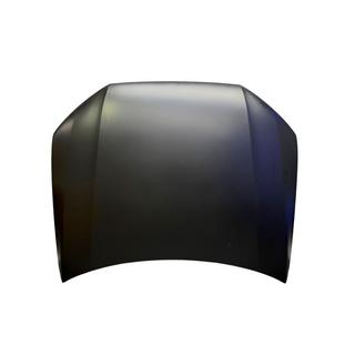 Capot (2015-2020, aluminium)