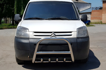 Peugeot Partner 1996-2008 Pare-buffle WT003 (Inox) photo 4