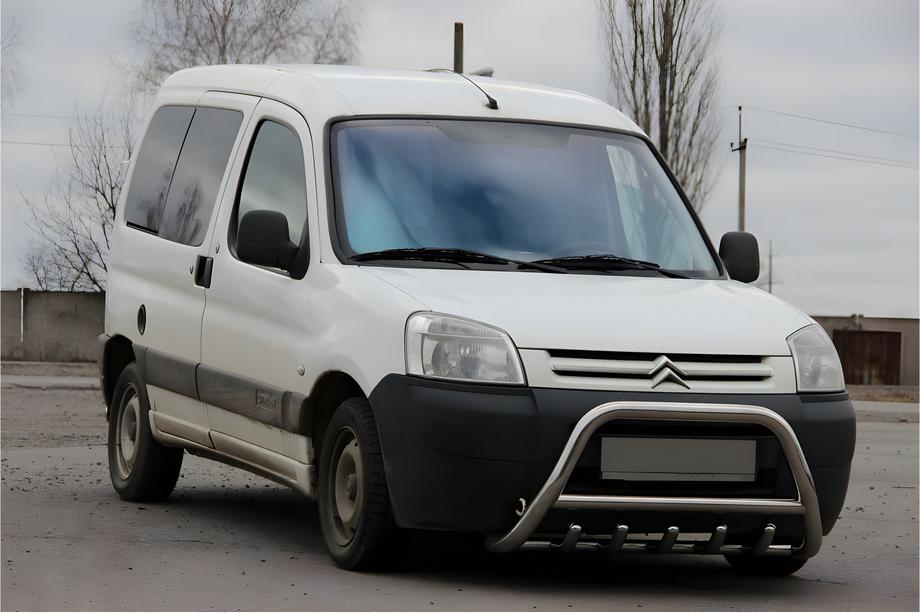 Peugeot Partner 1996-2008 Pare-buffle WT003 (Inox) Image