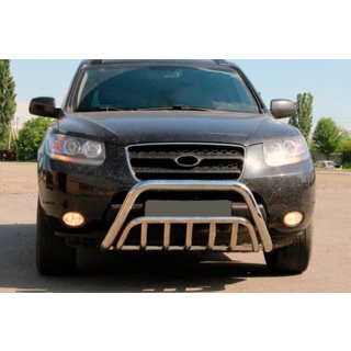 Pare-buffle WT002 (Inox) photo 1