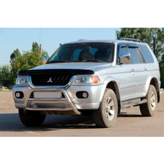 Pare-buffle WT022 Inox photo 1