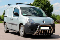 Renault Kangoo 2008–2020 Pare-buffle WT002 (Inox) photo 2