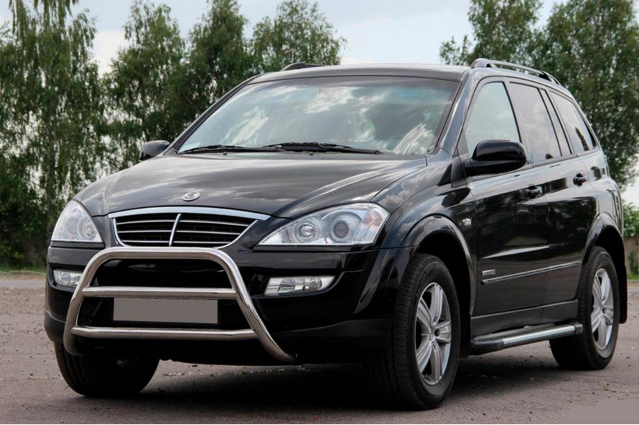 SsangYong Kyron 2005-2014 Pare-buffle WT022 Inox Image