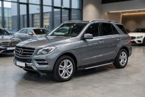 Mercedes GLE/ML class W166 2011-2018 Marchepieds Latéraux Maya V1 (2 pcs, Aluminium) photo 1