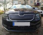 Skoda Octavia III A7 2013-2019 Cache-calandre d'hiver (2013-2017) photo 1