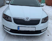 Skoda Octavia III A7 2013-2019 Cache-calandre d'hiver (2013-2017) photo 2