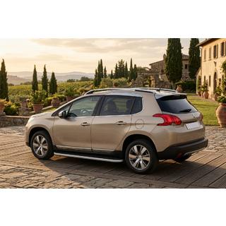 Marchepieds Latéraux Tayga Grey (2 pcs, Aluminium) Peugeot 3008 2008-2016 photo 1