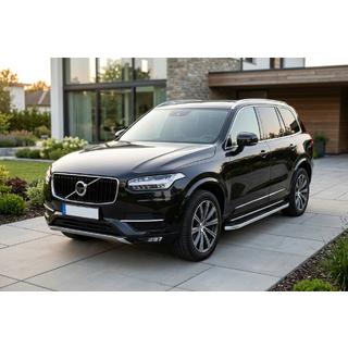 Marchepieds Latéraux Tayga Grey (2 pcs, Aluminium) photo 1