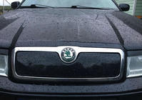 Skoda Octavia I Tour A4 1996-2010 Grille d'hiver (supérieure) photo 1