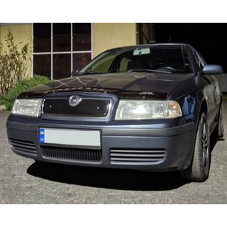 Grille d'hiver (supérieure) Skoda Octavia I Tour A4 1996-2010 photo 3