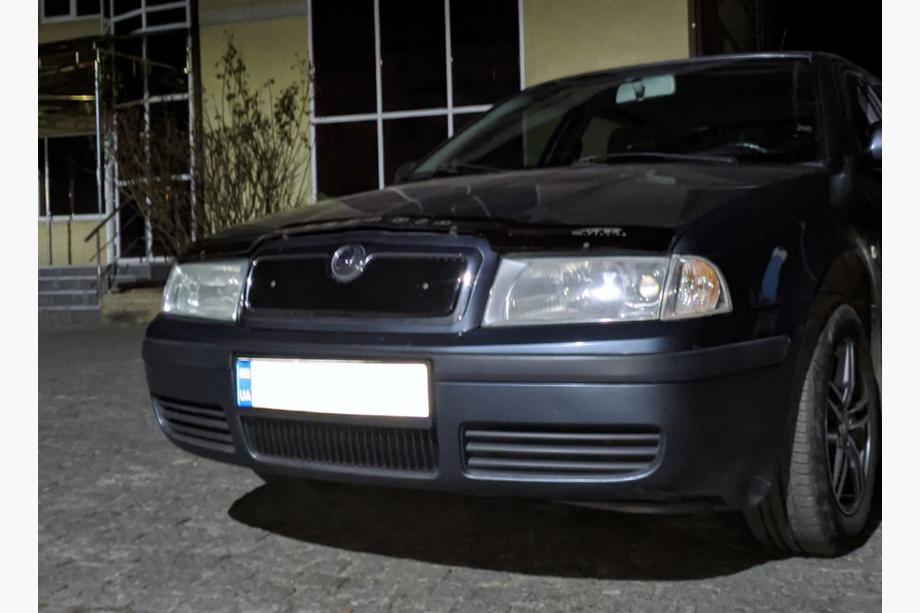 Skoda Octavia I Tour A4 1996-2010 Grille d'hiver (supérieure) Mat Photo 4