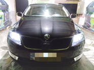 Skoda Rapid 2012-2019 Grille d'hiver (supérieure) Mat photo 1