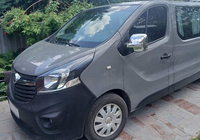 Opel Vivaro 2015-2019 Coques de Rétroviseurs (2 pcs, plastique) photo 9