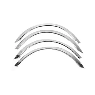 Entourages d'ailes (2005-2008, 4 pcs, inox) photo 1