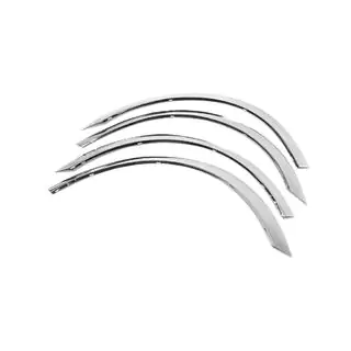 Entourages d'ailes (2005-2008, 4 pcs, inox) photo 3