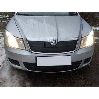 Cache grille d'hiver (inférieur) Skoda Octavia II A5 2010-2013 photo 2