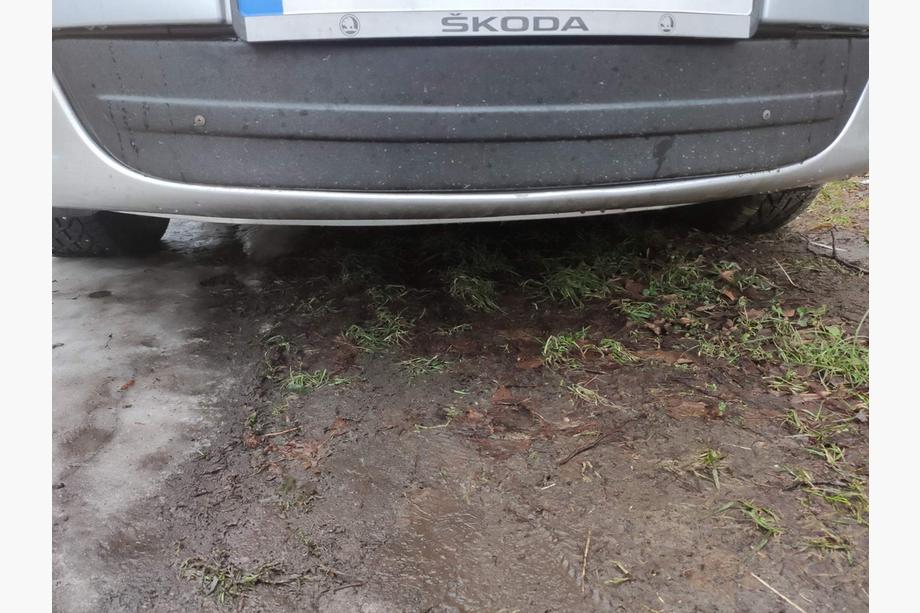 Skoda Octavia II A5 2010-2013 Cache grille d'hiver (inférieur) Brillant Photo 1