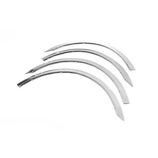 Entourages d'ailes (2001-2010, 4 pcs, inox) photo 3