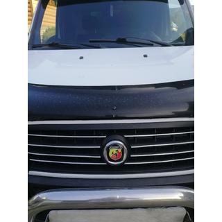 Emblème (Abarth, autocollant) Fiat Doblo I 2005-2010 photo 4