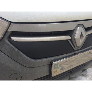 Grille d'hiver (2013-2017) photo 3
