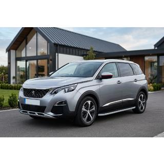 Marchepieds Latéraux Tayga Grey (2 pcs, Aluminium) photo 1