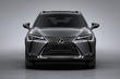 Crossover Lexus UX 200 photo 8