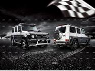 Mercedes G class W463 1990-2018 Kit carrosserie complet (sur commande selon catalogue) photo 3