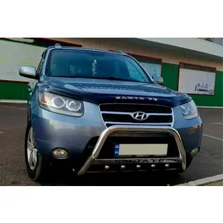 Pare-buffle WT004 (Inox)