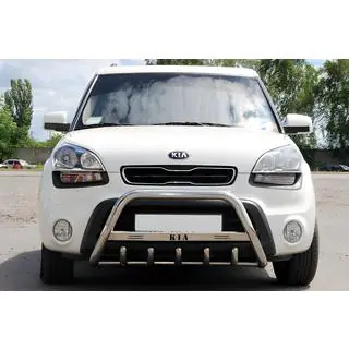 Pare-buffle (Inox) photo 1