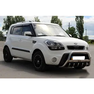 Pare-buffle (Inox) photo 3