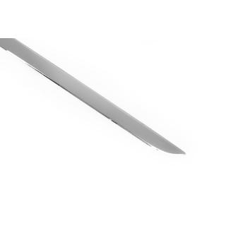 Protection seuil de coffre inox photo 3