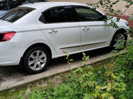 Peugeot 301 2012- Encadrement de Vitres Inox 4 pcs, Carmos (sans déflecteur) photo 1