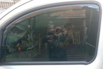 Renault Kangoo 2008–2020 Déflecteurs de vitre à encastrer (2 pcs, HIC) photo 8