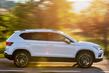 L’examen de croisement Seat Ateca (deuxième) photo 13