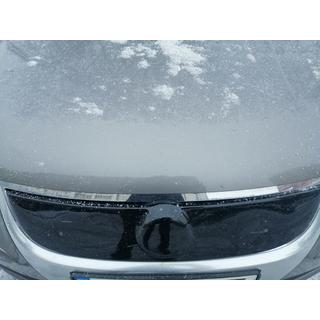 Grille d'hiver (supérieure, 2006-2010) photo 2