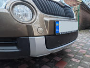 Skoda Yeti 2009-2017 Cache calandre hiver (inférieur, 2009-2013) photo 3