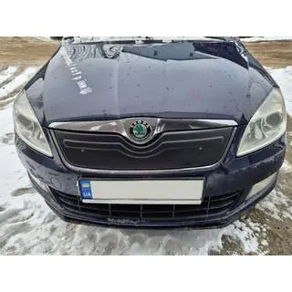 Cache calandre hiver (2010+, supérieur) Skoda Roomster 2006-2015 photo 3