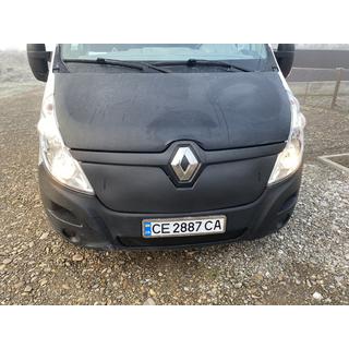 Grille d'hiver (2014-2019, supérieure) photo 4
